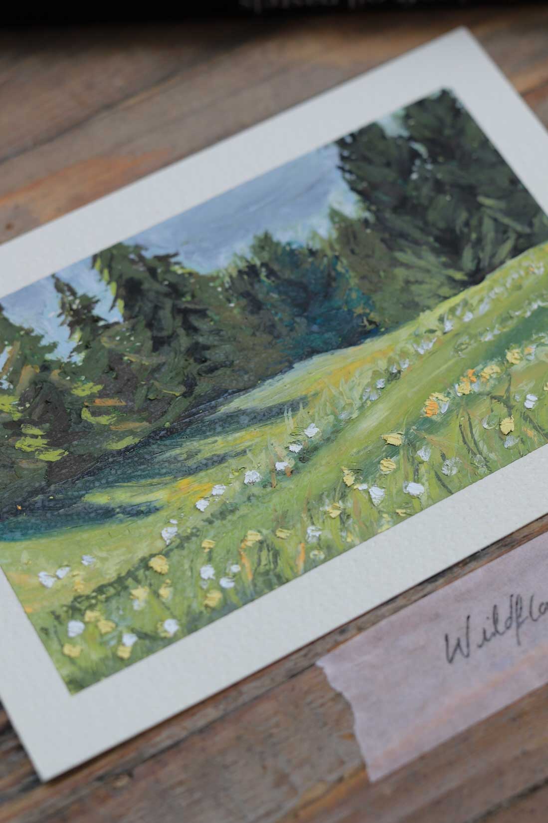 Wildflower Meadow