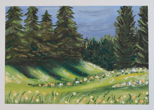 Wildflower Meadow 2