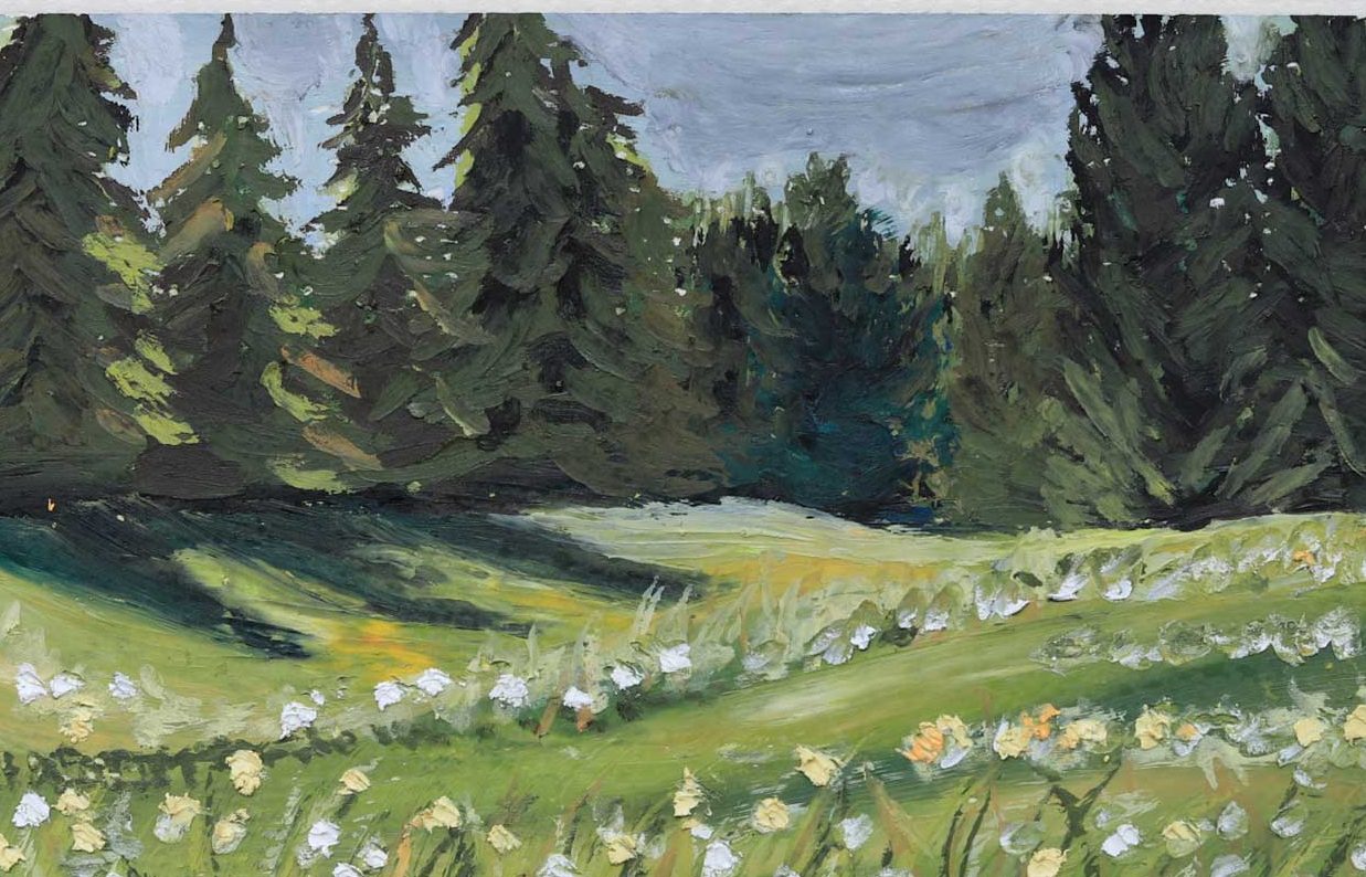 Wildflower Meadow print