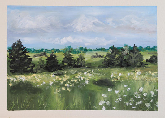 Fields in Satterthwaite