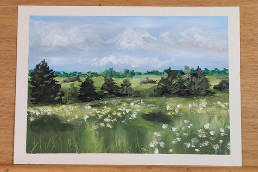 Fields in Satterthwaite