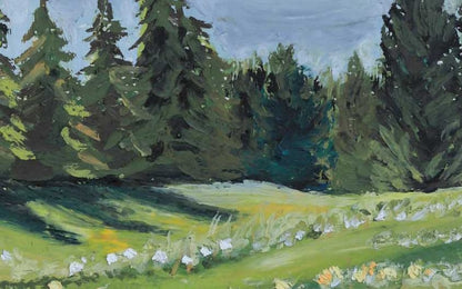 Wildflower Meadow