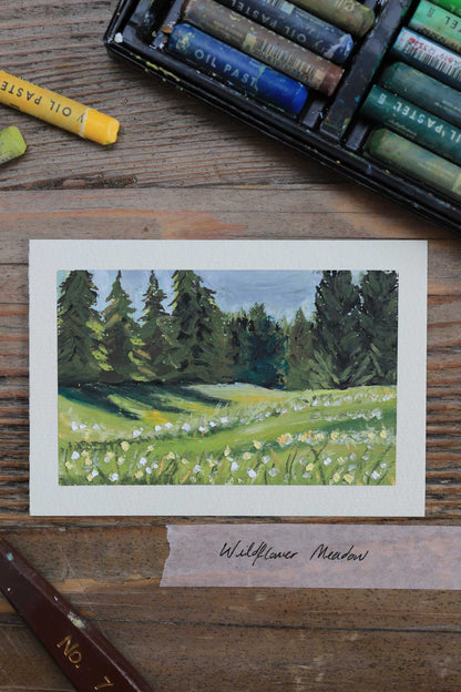 Wildflower Meadow