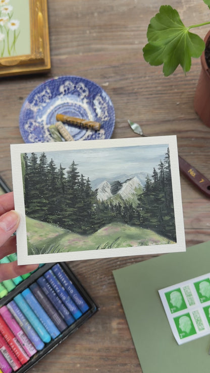 View from Grizedale Woods - studio video